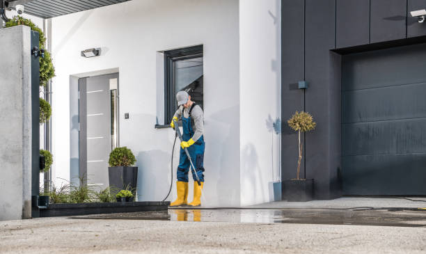 Best Building Exterior Washing  in Paincourtville, LA